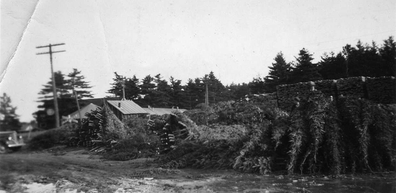 Caledonia station yard - 1940